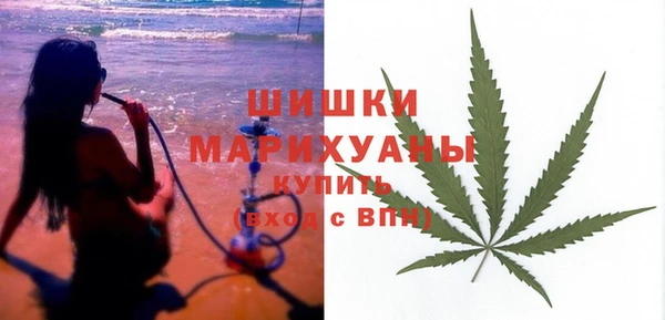 ПСИЛОЦИБИНОВЫЕ ГРИБЫ Балабаново