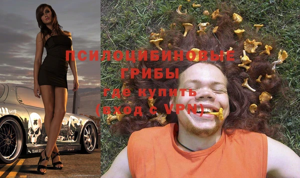 ПСИЛОЦИБИНОВЫЕ ГРИБЫ Балабаново