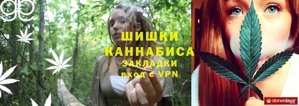 ПСИЛОЦИБИНОВЫЕ ГРИБЫ Балабаново