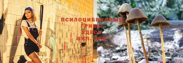 ПСИЛОЦИБИНОВЫЕ ГРИБЫ Балабаново