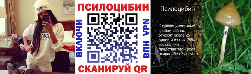 Псилоцибиновые грибы GOLDEN TEACHER  Ершов 